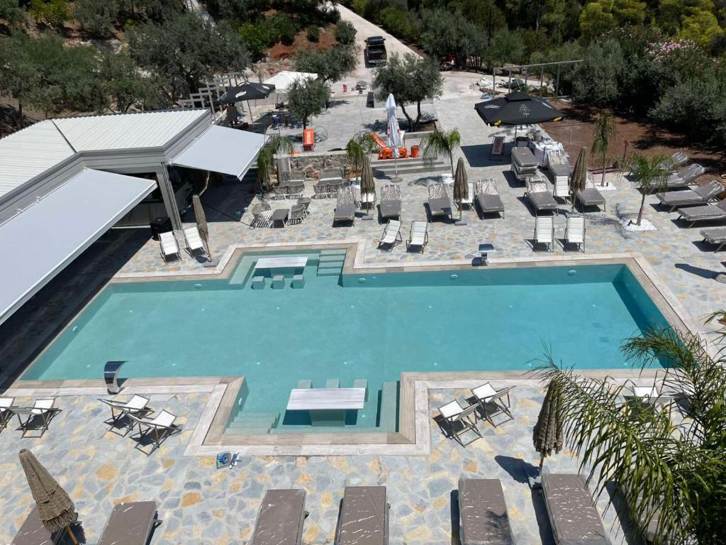 Πισίνα στο ή κοντά στο STORK Design Suites