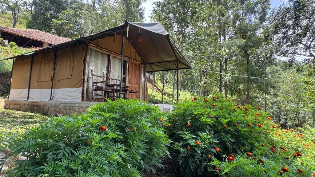 a small tent in a field with trees and flowers at Deshadan Jungle in Kanthalloor