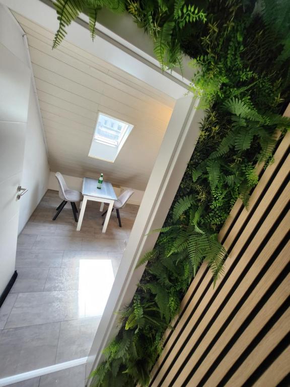 Una habitación con una mesa y plantas verdes. en Ferienwohnung Friedland, en Lahnstein