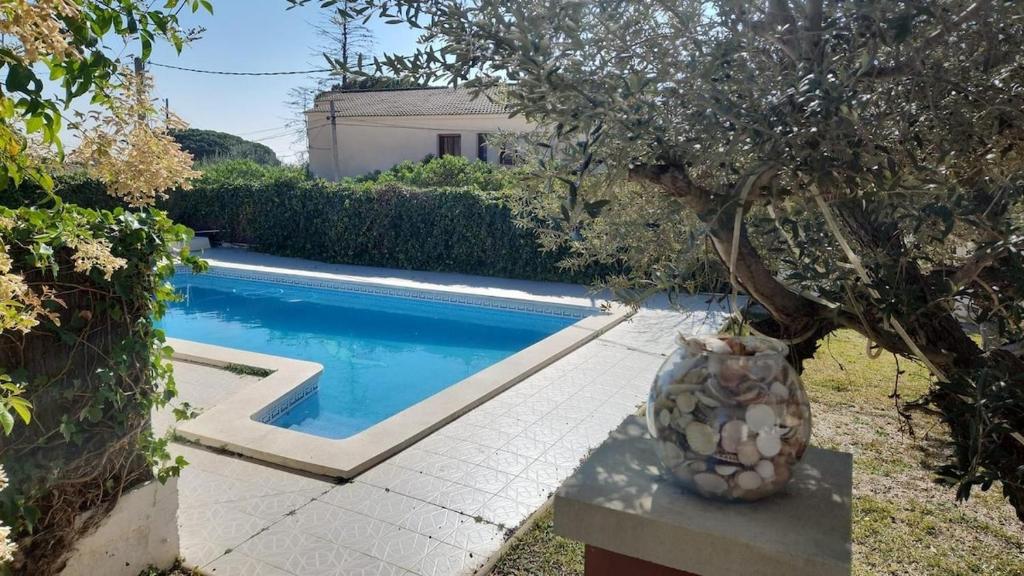 un vase assis sur une table à côté d'une piscine dans l'établissement Villa entre viñas y mar, à Botarell