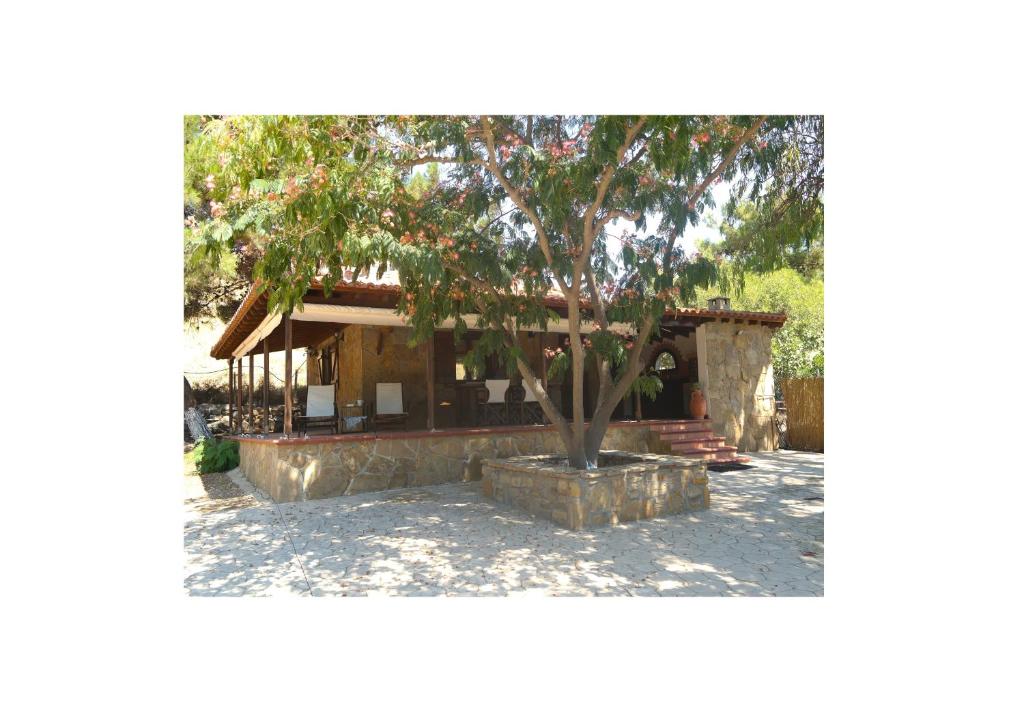 Gallery image of La casa Domenica in Moudhros