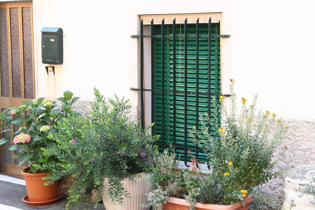 une fenêtre avec un volet vert et quelques plantes dans l'établissement Appartamento vicino al mare, à Moneglia