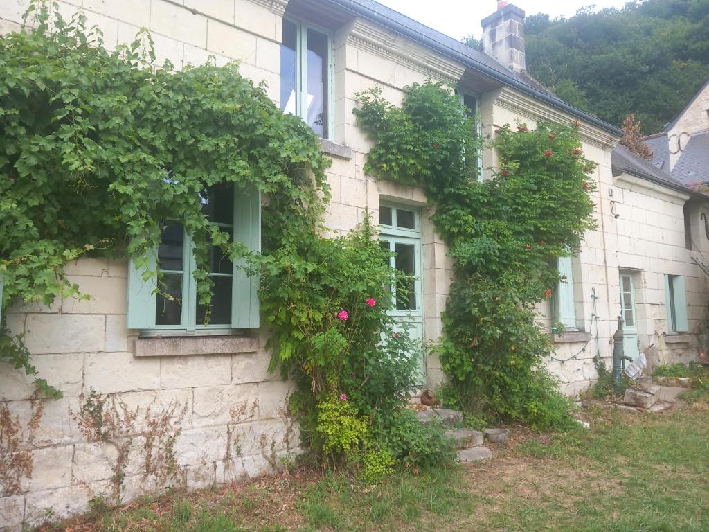 une maison avec du lierre sur son côté dans l'établissement maison belle au bois dormant, à Rigny-Ussé