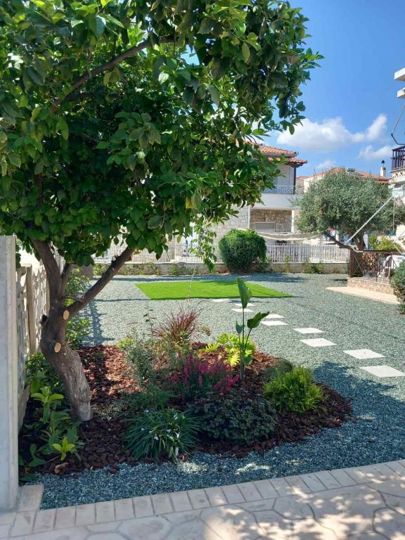 Hotel Apolafsi - Resim 12