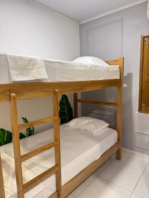 a couple of bunk beds in a room at Hostal Cilipo in Palomino