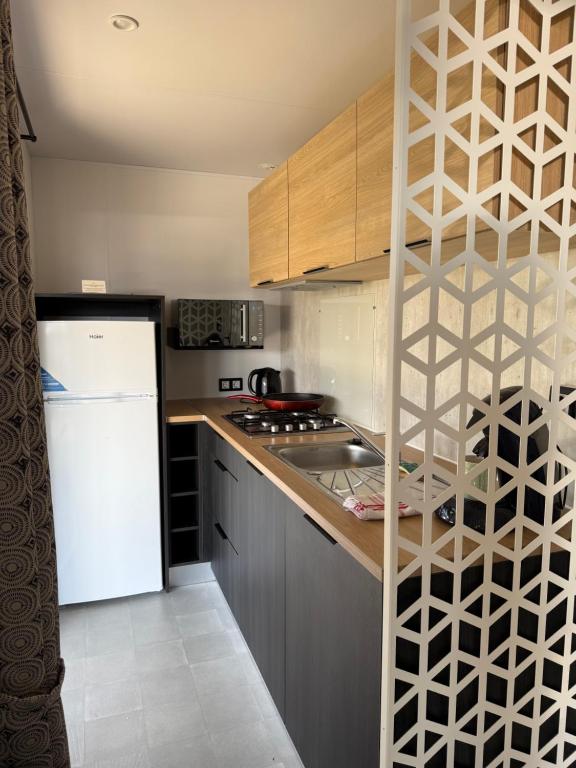 Camping de la Loire - Mobil-home