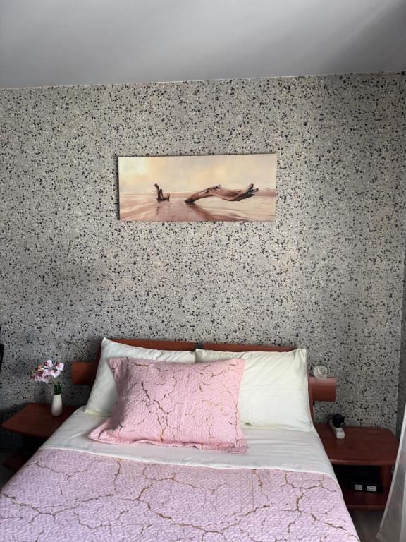 een slaapkamer met een bed met een roze deken bij Studio Lyon Plage in Lyon