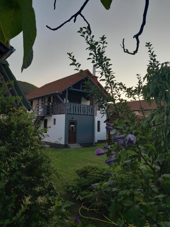 Apartamente Ambrus Praid - Housity
