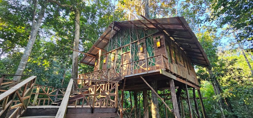 a tree house in the middle of the forest at Casa del árbol - Mirador Tacana in Leticia