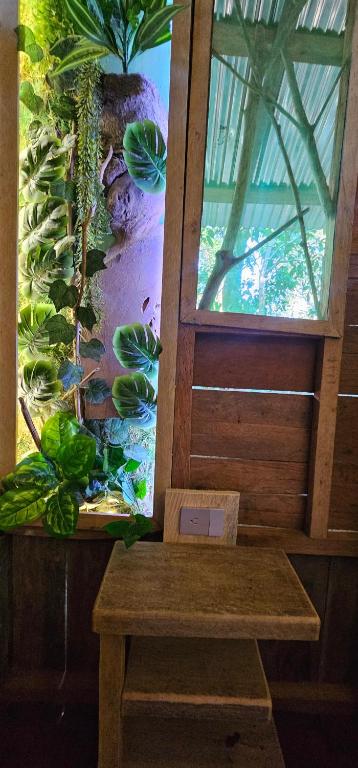 Casa en el árbol Gecko 7 - Yarumo