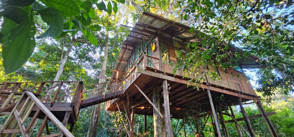 Casa en el árbol Gecko 7 - Yarumo