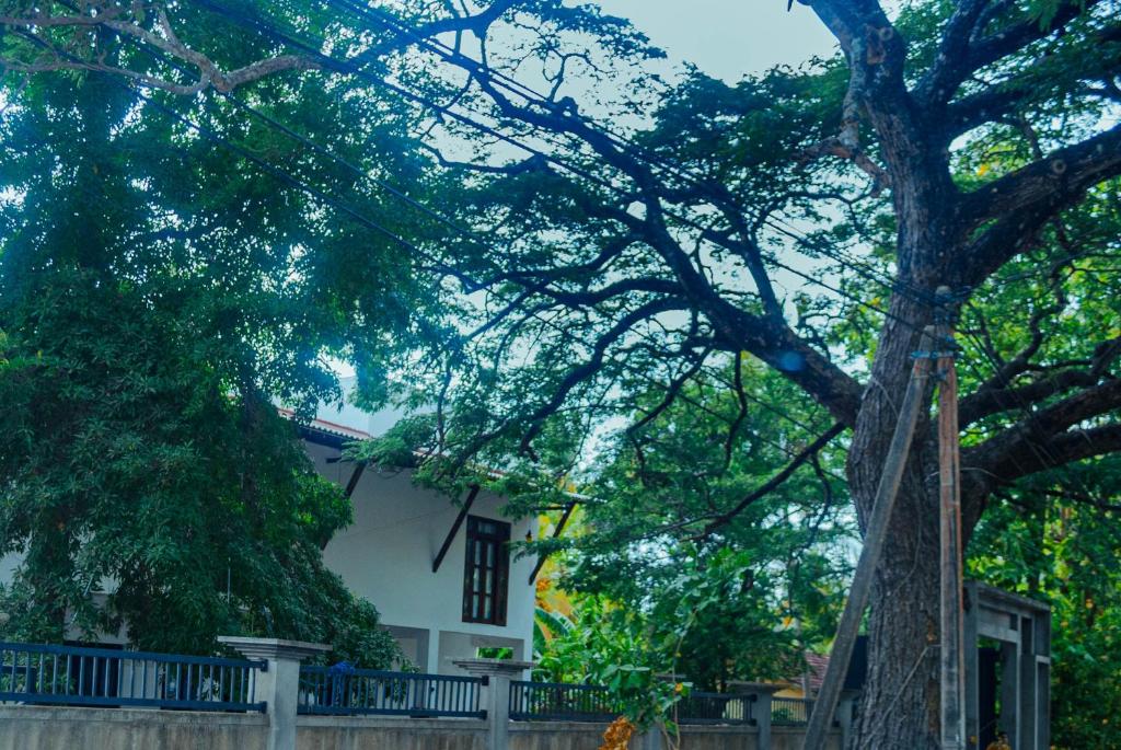 Taman di luar Nimala Holiday Homes