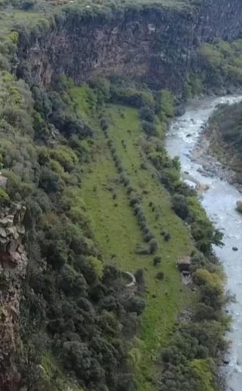 an aerial view of a river and a field with trees at Cuntarati Nature Tourism - Simeto Etna in Bronte