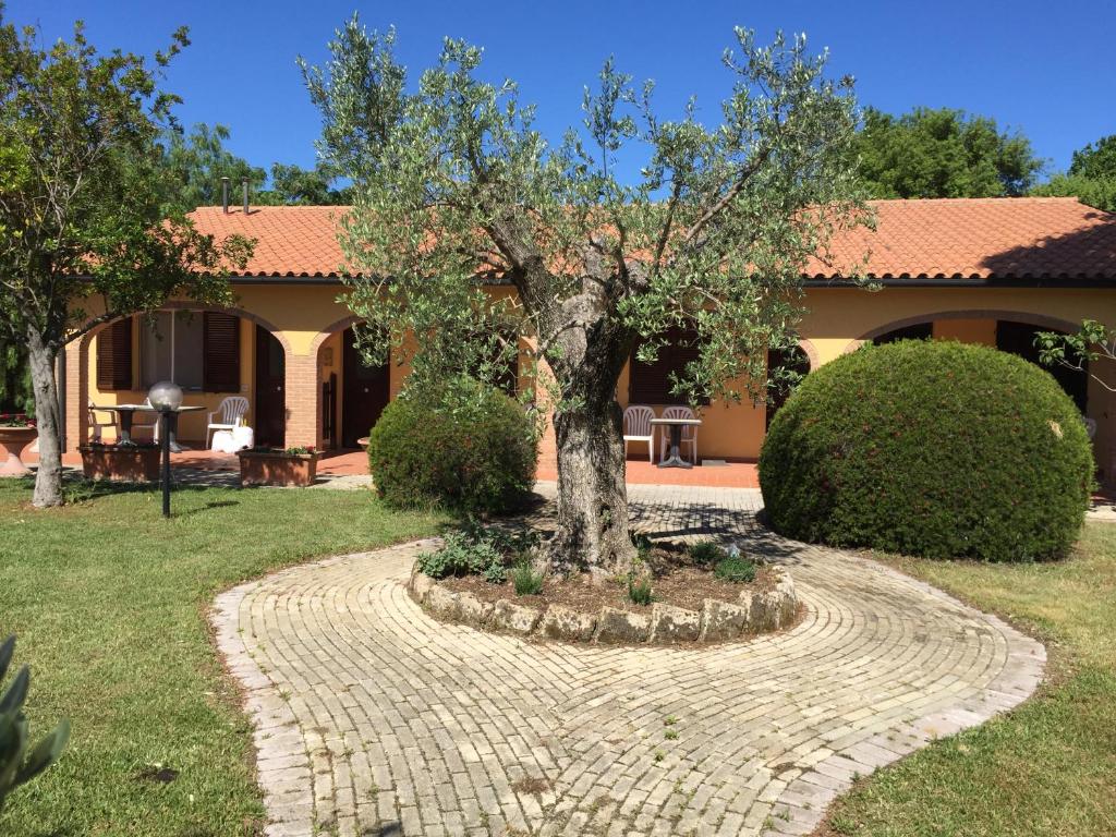 a house with a tree in the middle of a garden at Il Girasole in Venturina Terme