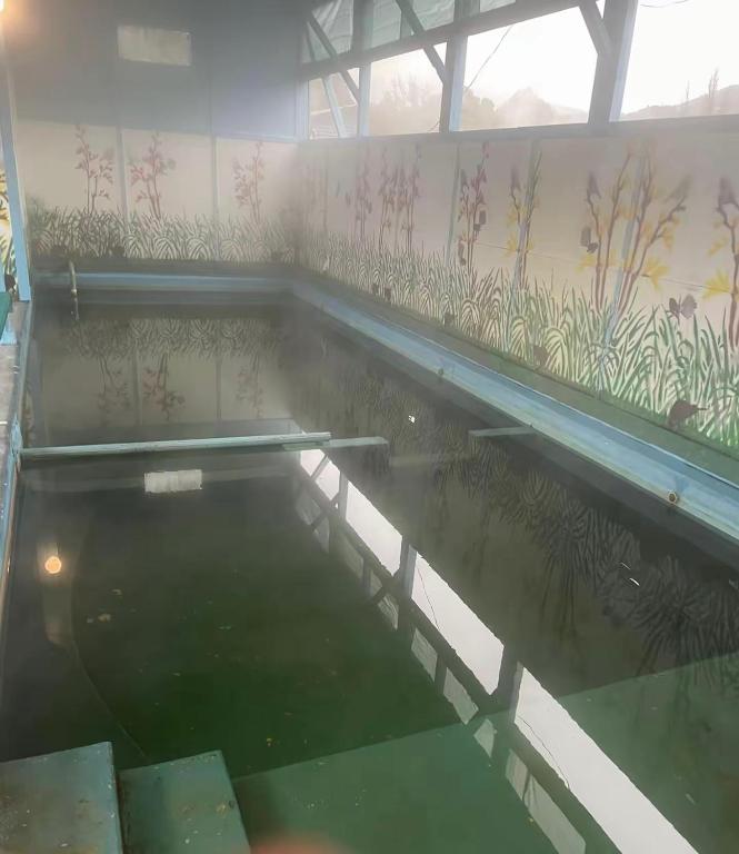 Oasis Motel & Holiday Park Turangi - Resim 14