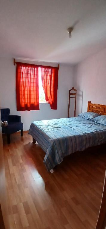 托卢卡Casa de descanso, negocios, nin̈os, mascota, facturamos的一间卧室，有一张床和一扇带红色窗帘的窗户