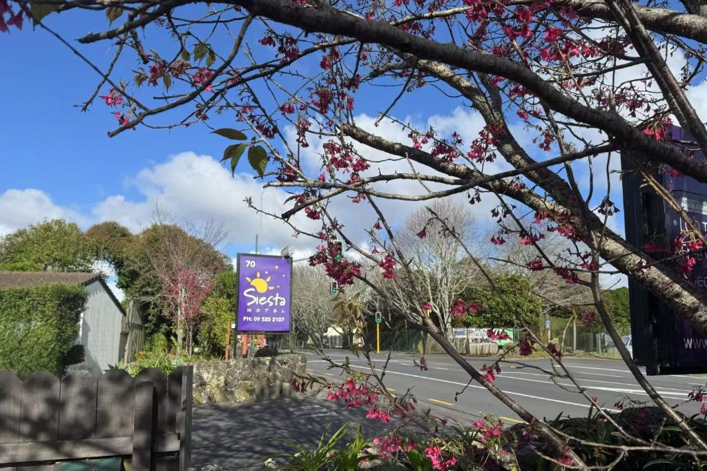 Siesta Motel - Resim 1