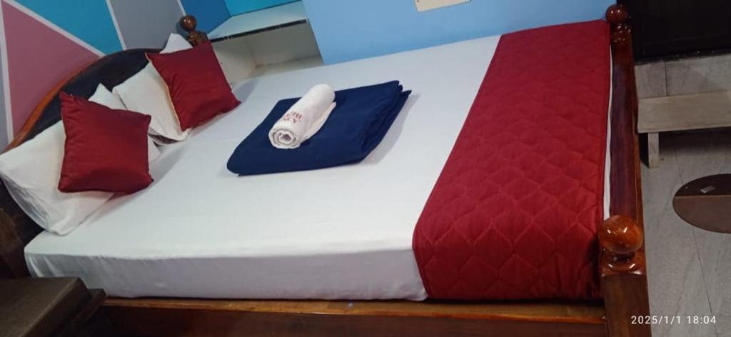 - un lit avec des oreillers rouges et bleus dans l'établissement PANMOZHI RESIDENCY guest house, à Tiruvannāmalai