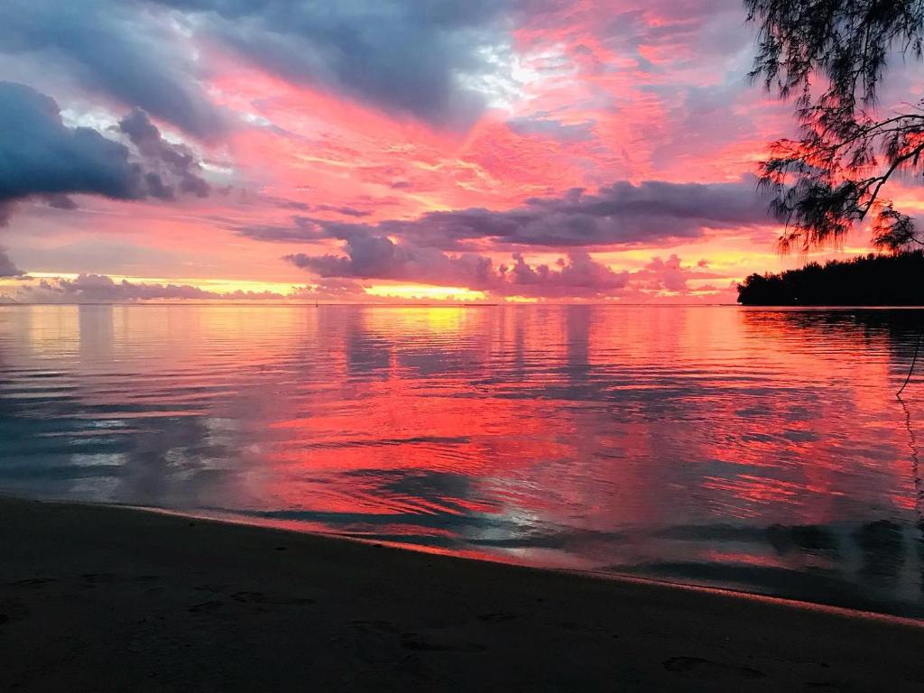 Příroda nedaleko hostelu