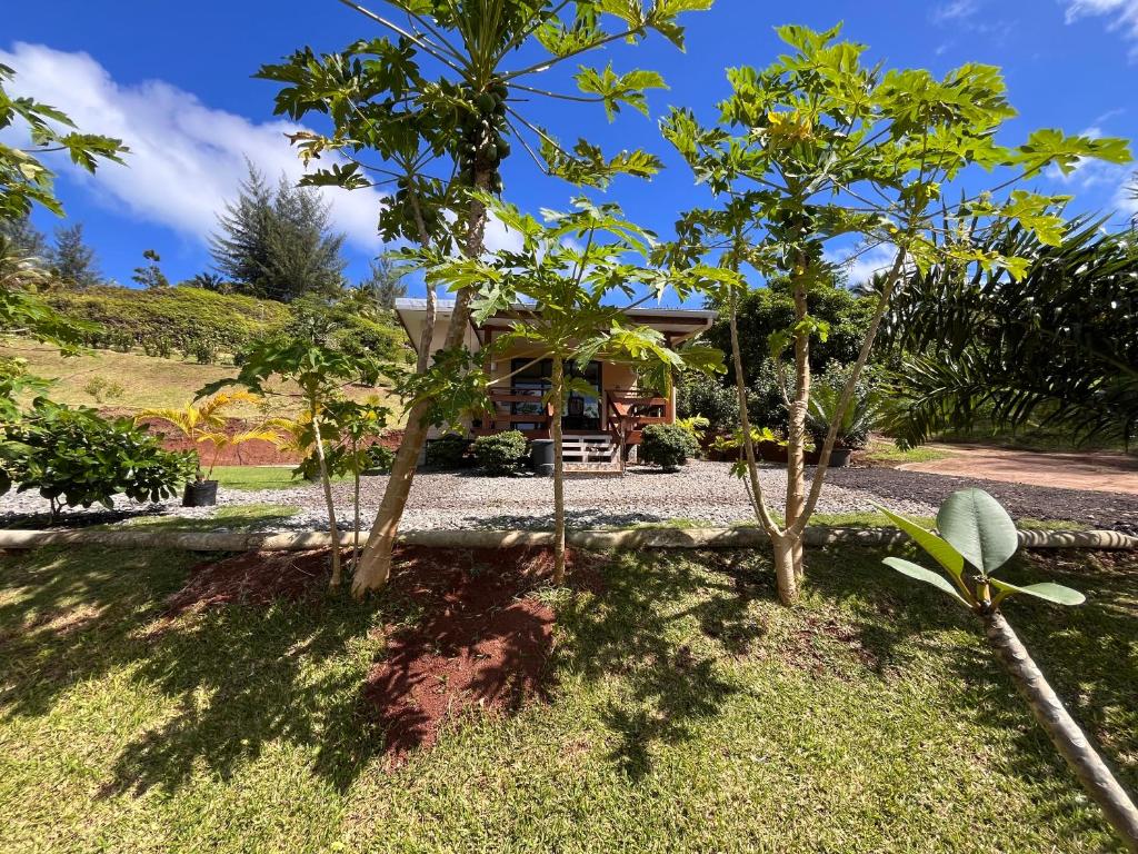 Tuna House, Maroe - photo 9 - Huahine, Polynésie