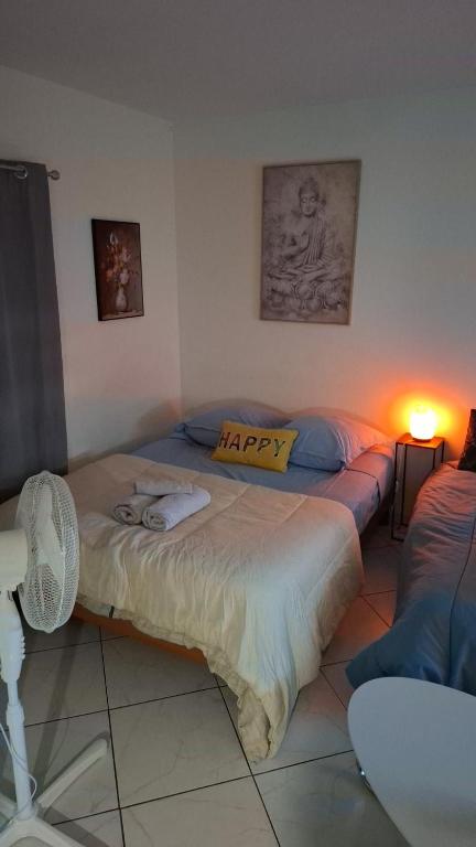 T1 hyper centre Saint-Louis "L'orchidée " free parking – photo 7
