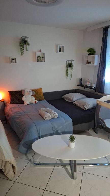 T1 hyper centre Saint-Louis "L'orchidée " free parking – photo 2