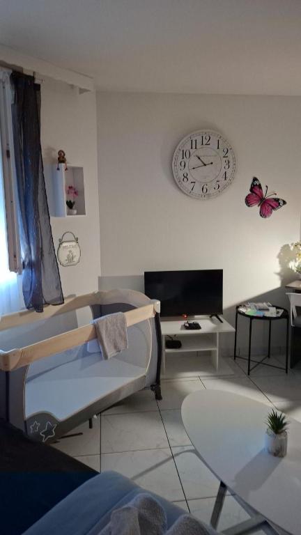 T1 hyper centre Saint-Louis "L'orchidée " free parking – photo 26