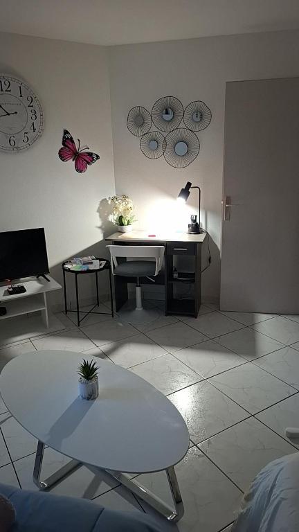 T1 hyper centre Saint-Louis "L'orchidée " free parking – photo 29