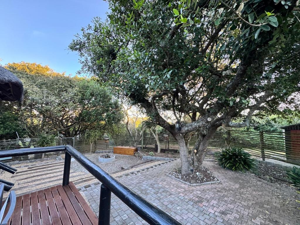a tree on a walkway next to a wooden deck at The Whispering Milkwood Cottage in Gqeberha