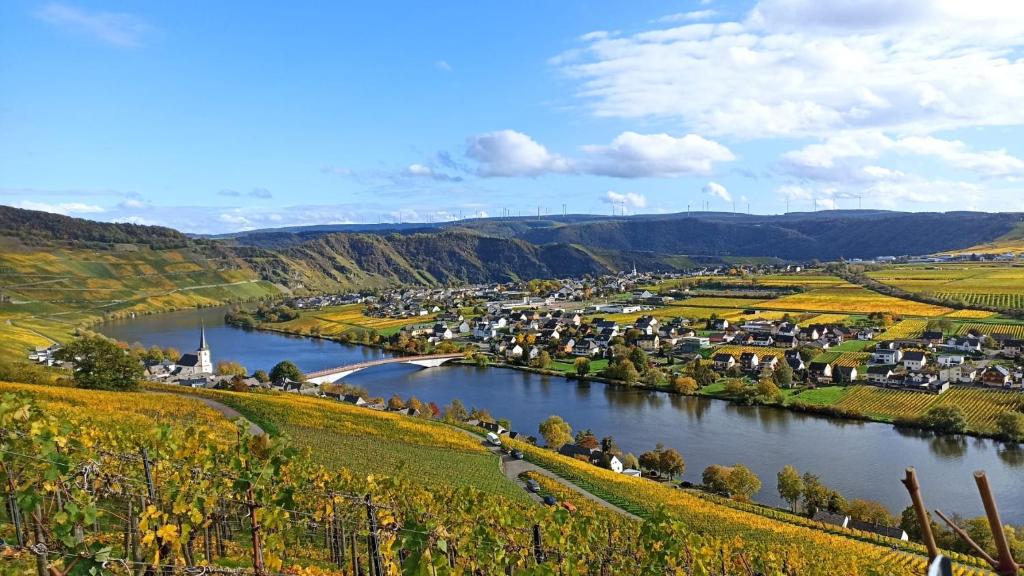 a small town on a river in a valley at Ferienwohnung mit Blick auf die Moselloreley in Piesport