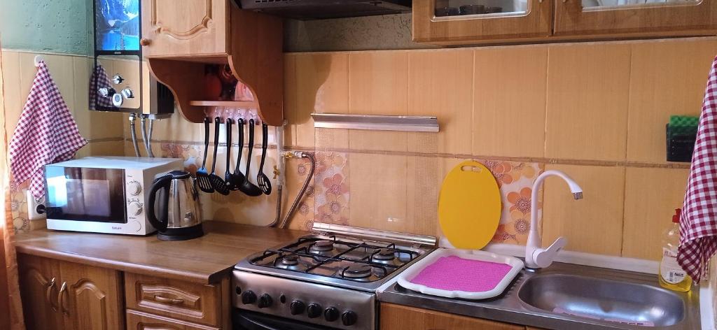 a small kitchen with a stove and a sink at Квартира 2х-комнатная посуточно in Kryvyi Rih