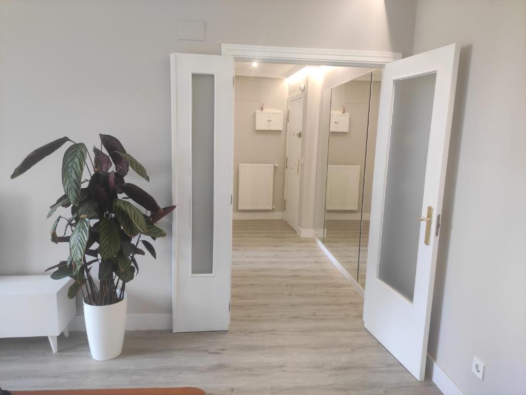 un pasillo con una maceta y un espejo en Spacious with free parking in Old Town-Casco Viejo, en Bilbao