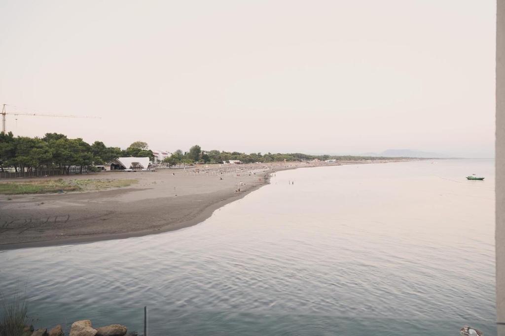 a beach with a group of birds sitting on the sand at Sea Star Apartments in Ulcinj