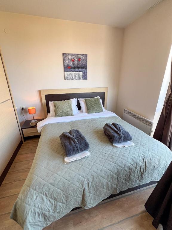 a bedroom with two beds with towels on them at Alpine Lodge Chalet in Bansko in Bansko