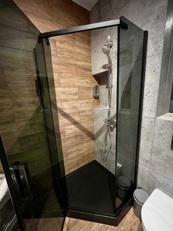 Steam Park Rakowicka Koper Apartment - 11