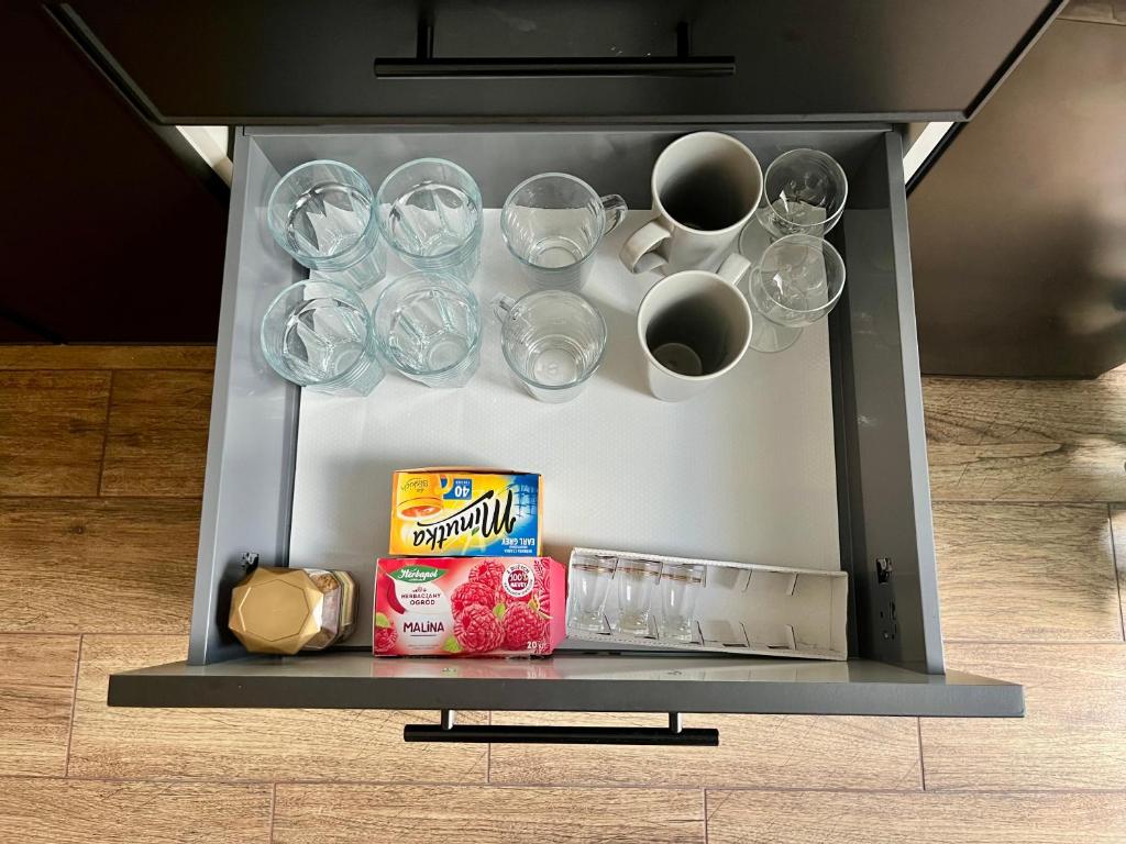 Steam Park Rakowicka Koper Apartment - 9