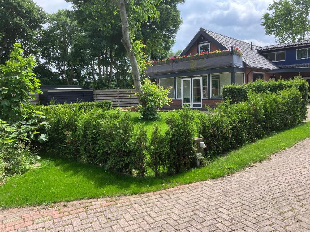 a house with a hedge in front of a house at De tepelenburg in Harskamp