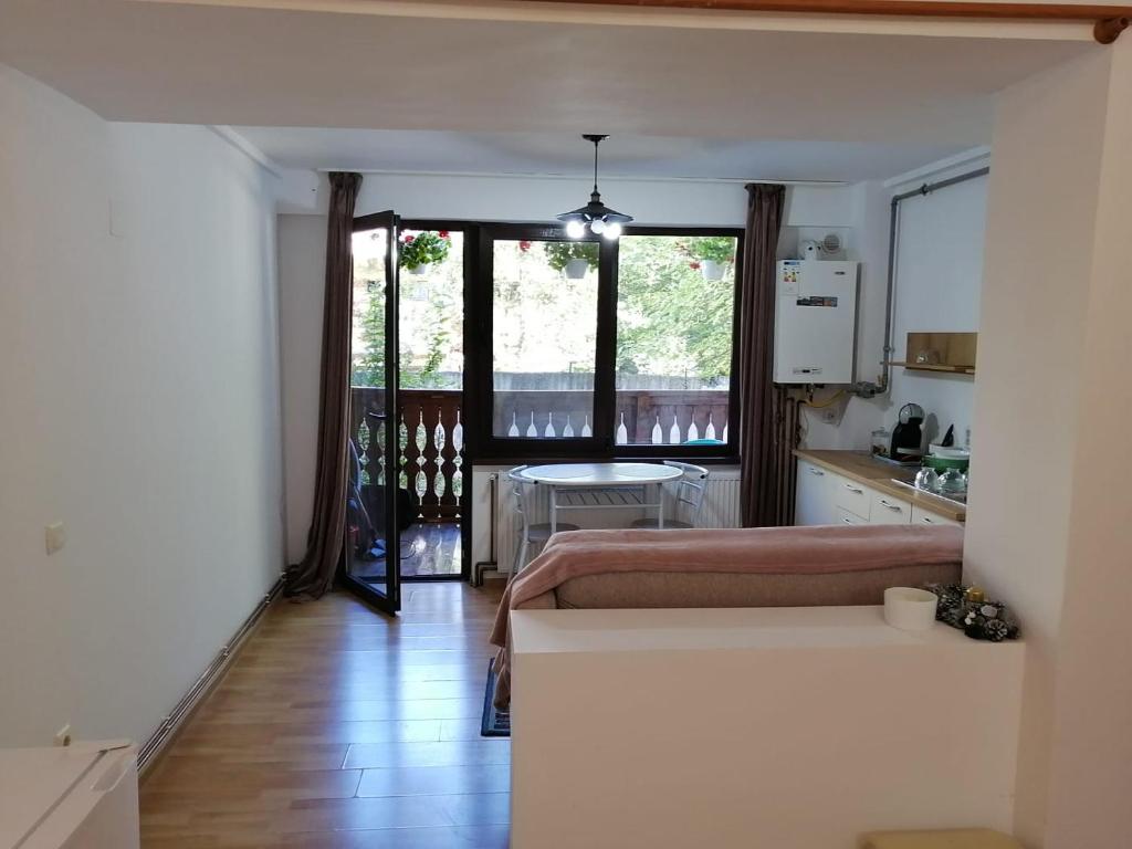 a living room with a couch and a kitchen at Sofia Caffee Apart in Braşov