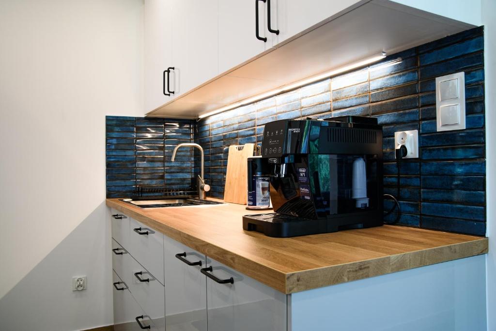 Kuchyň nebo kuchyňský kout v ubytování Lipowa Apartamenty B