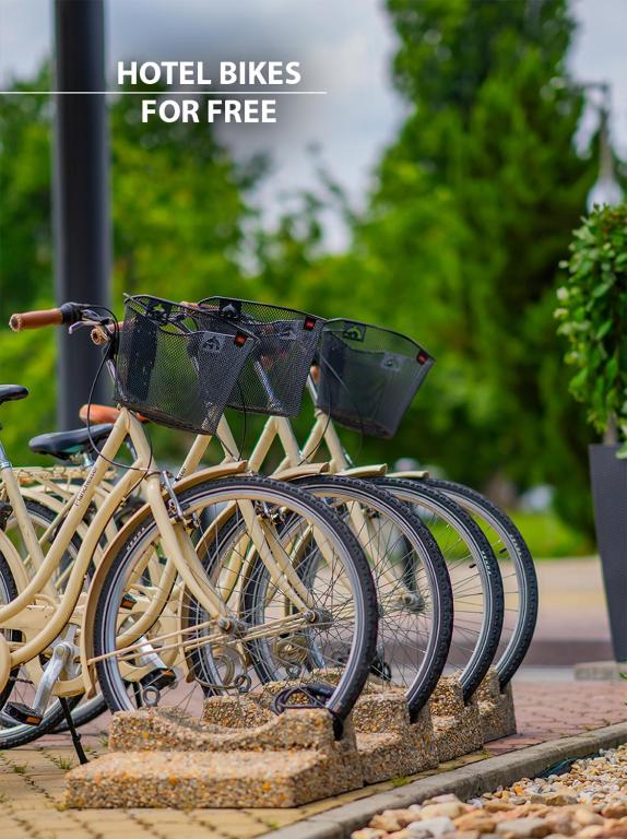 Cosmopolitan Bobycentrum - Czech Leading Hotels - Resim 27