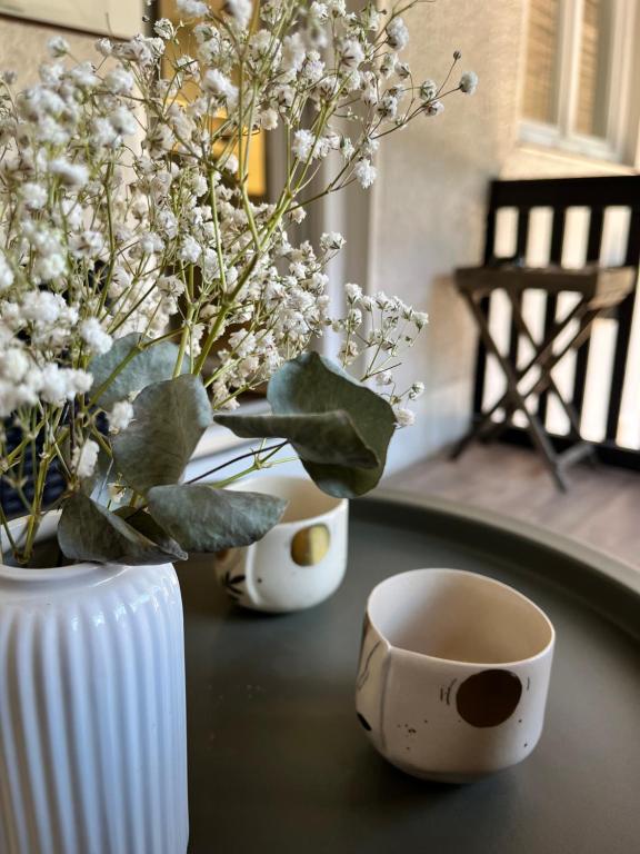 Fotografie z fotogalerie ubytování Cukr v Lublani