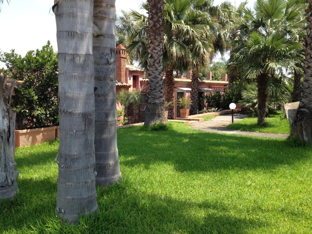 un grupo de palmeras en un patio en Villa del Nespolo, en Fiumefreddo di Sicilia