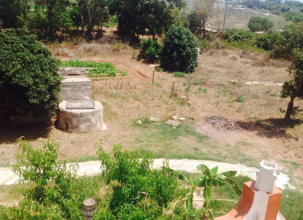 a garden with a fountain in the middle of a field at Appartamenti Calarossa O' Cafe' in Favignana