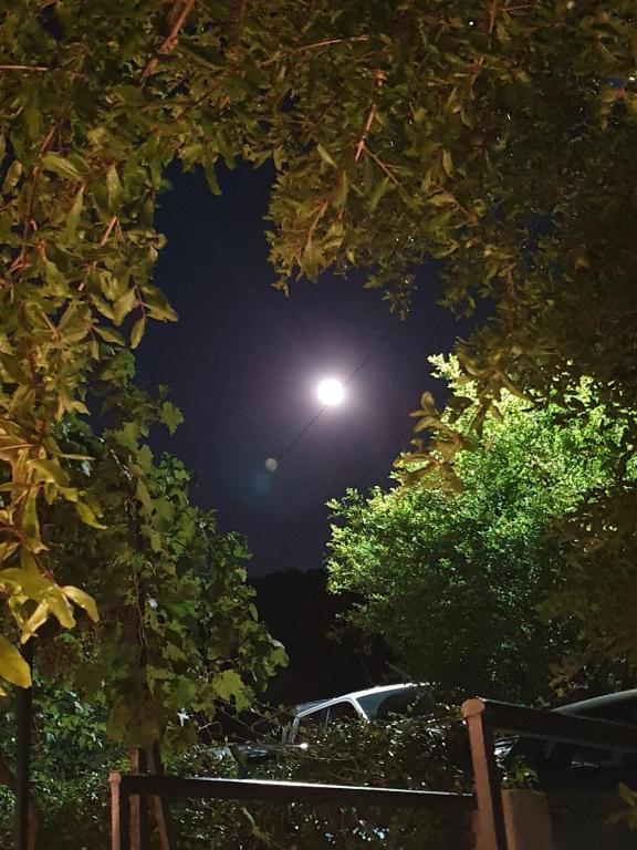 Φωτογραφία από το άλμπουμ του Guesthouse P&A στην Μπούντβα