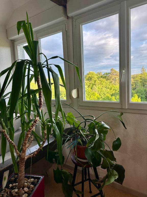 Loft vintage - spacieux 155 m2 - 4 chambres - Parking, Netflix, Wifi Fibre – photo 21