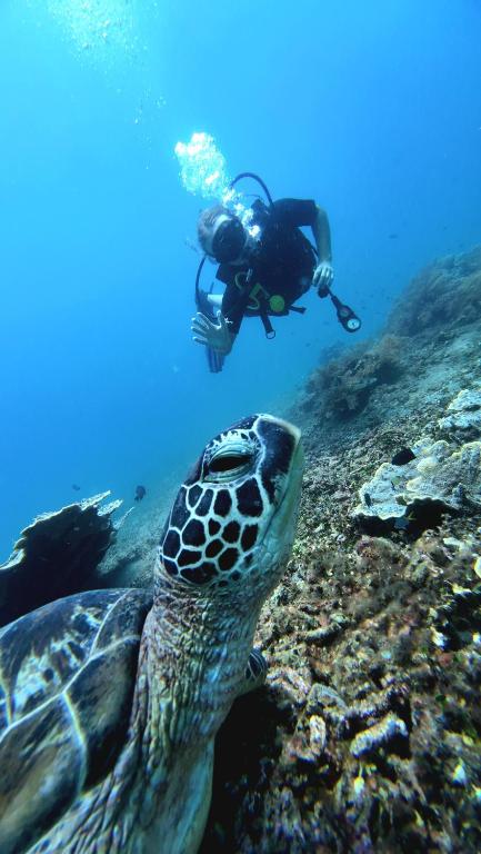 Kura Kura Divers Lodge - 18