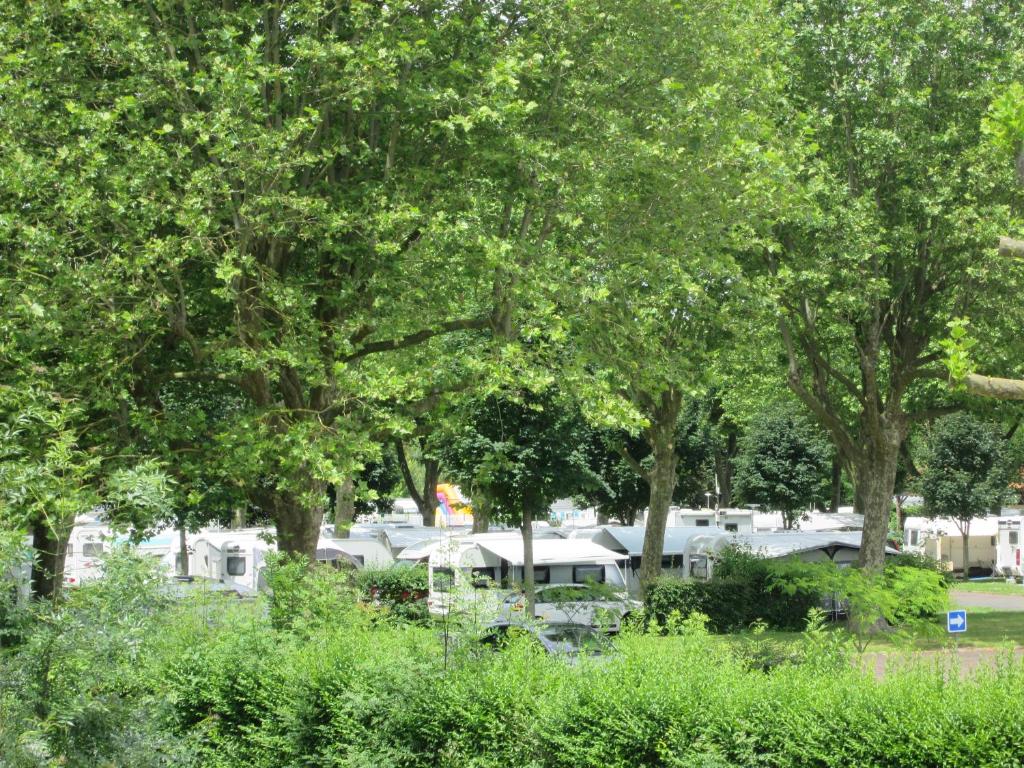 un groupe de rvs garés dans un parc arboré dans l'établissement Camping Val de Boutonne, à Saint-Jean-dʼAngély