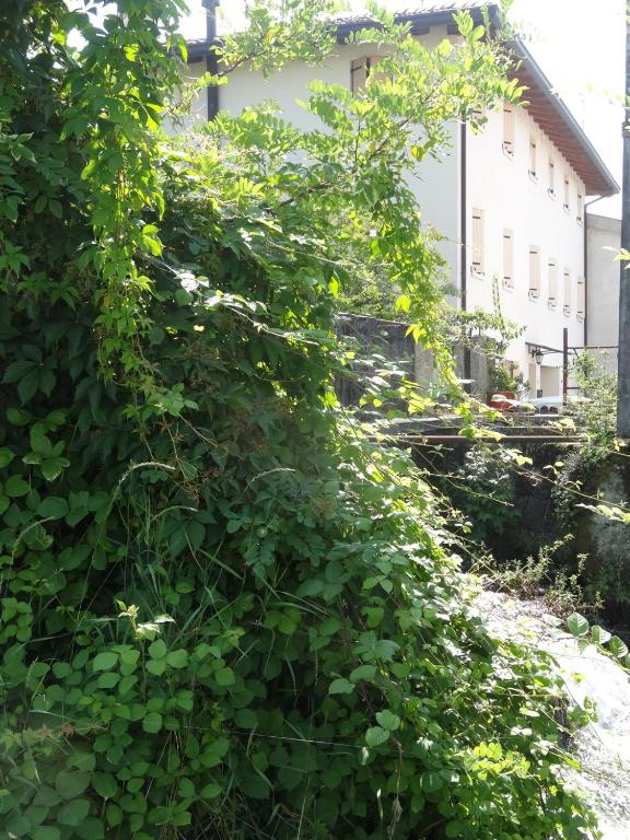 A garden outside Cà Francine
