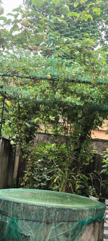 Giardino di Villa Florence Homestay Varkala Cliff