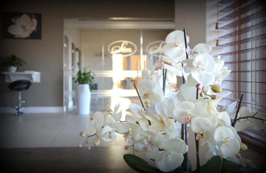 Hotel Silver - Resim 13